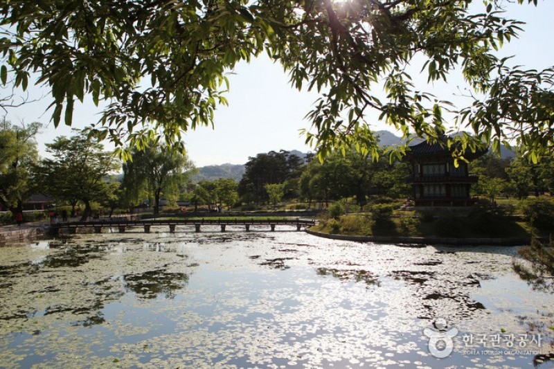 Gyeongbokgung Palace (Taegukgi-gil) (20/20)