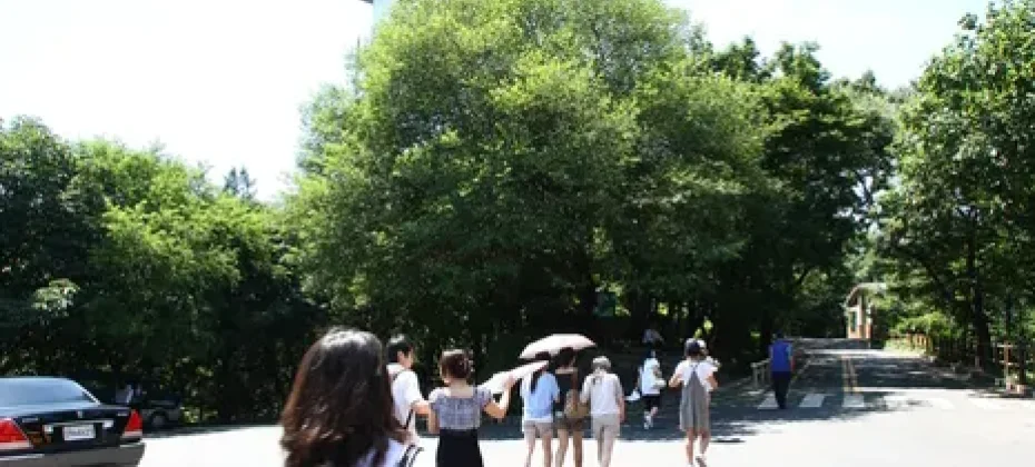 N Seoul Tower Observatory Discount Ticket (7/31)