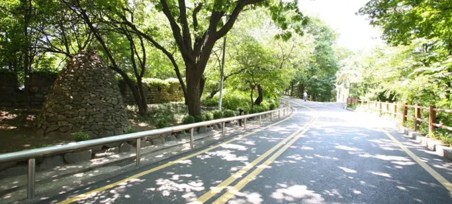 N Seoul Tower Observatory Discount Ticket (8/31)