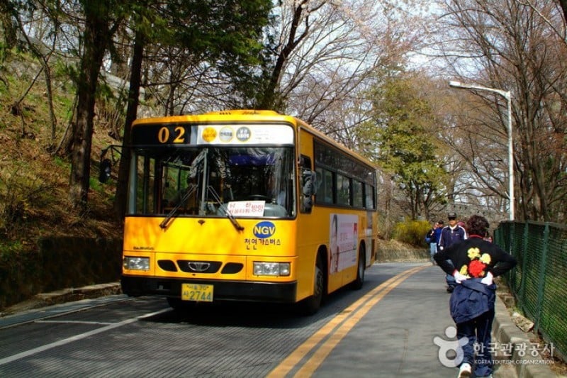 Namsan Park - Seoul  (8/29)