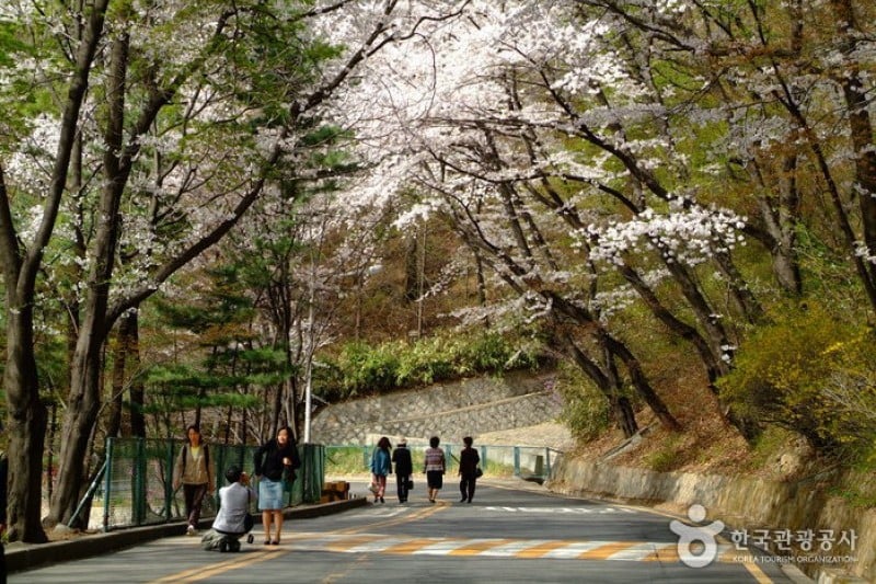 Namsan Park - Seoul  (9/29)