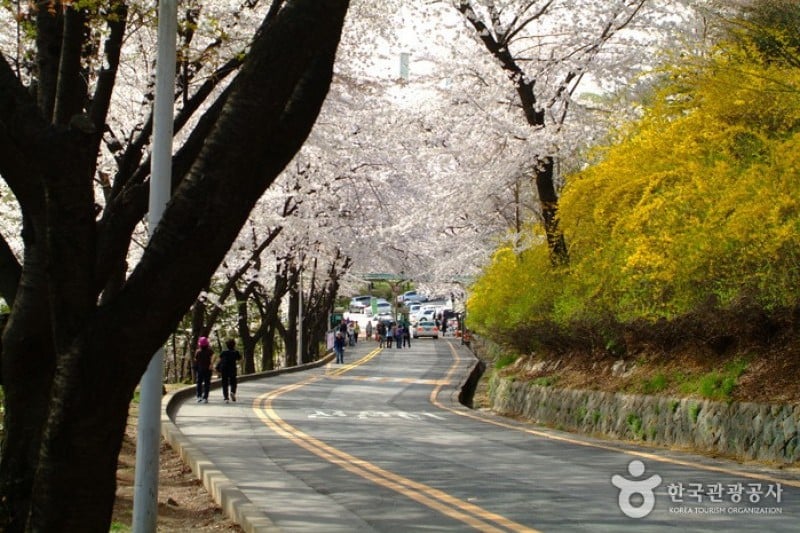 Namsan Park - Seoul  (10/29)