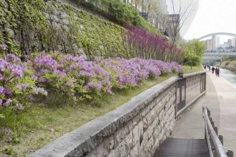 Cheonggyecheon Stream & Cheonggye Plaza (2/17)