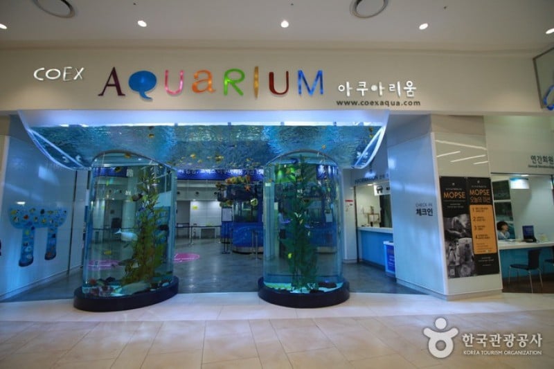 COEX Aquarium (1/8)