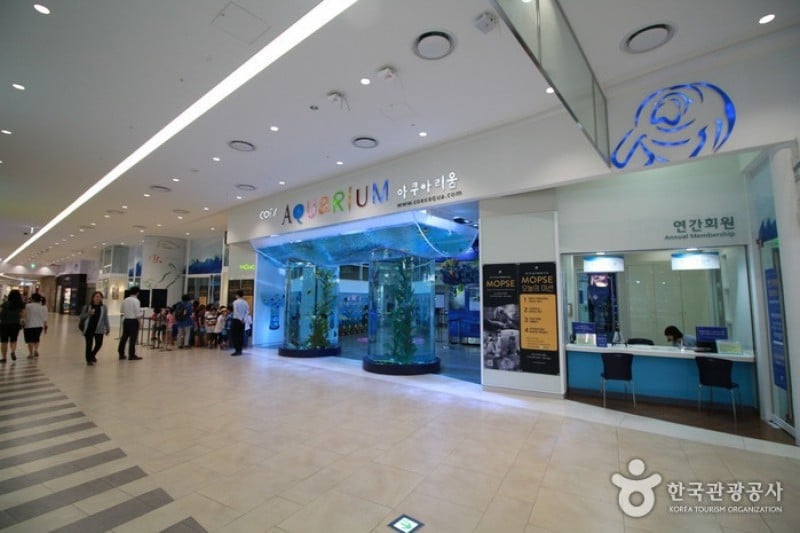 COEX Aquarium (2/8)