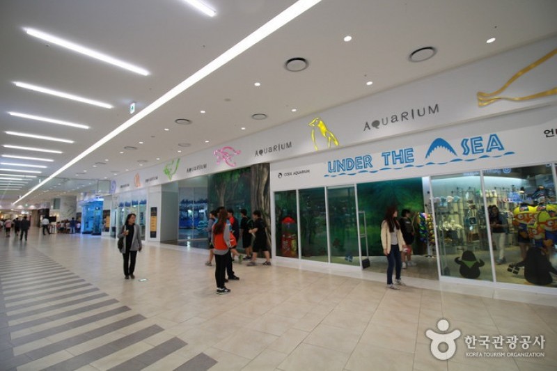 COEX Aquarium (3/8)