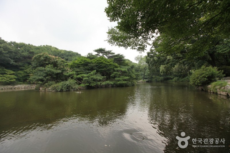 Changgyeonggung Palace (2/32)