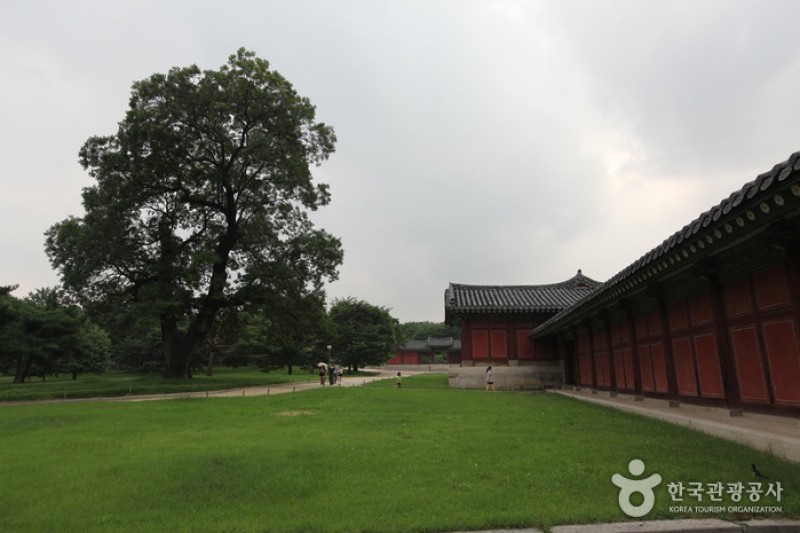 Changgyeonggung Palace (7/32)