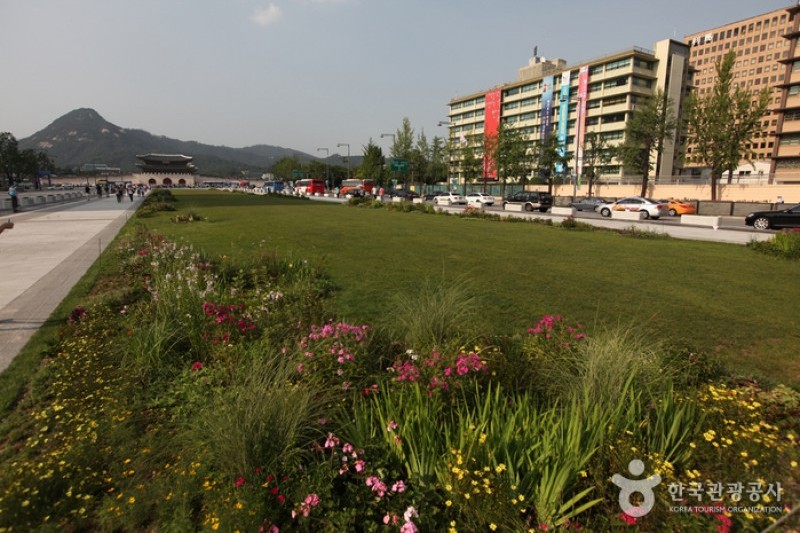 Gwanghwamun Square (11/43)