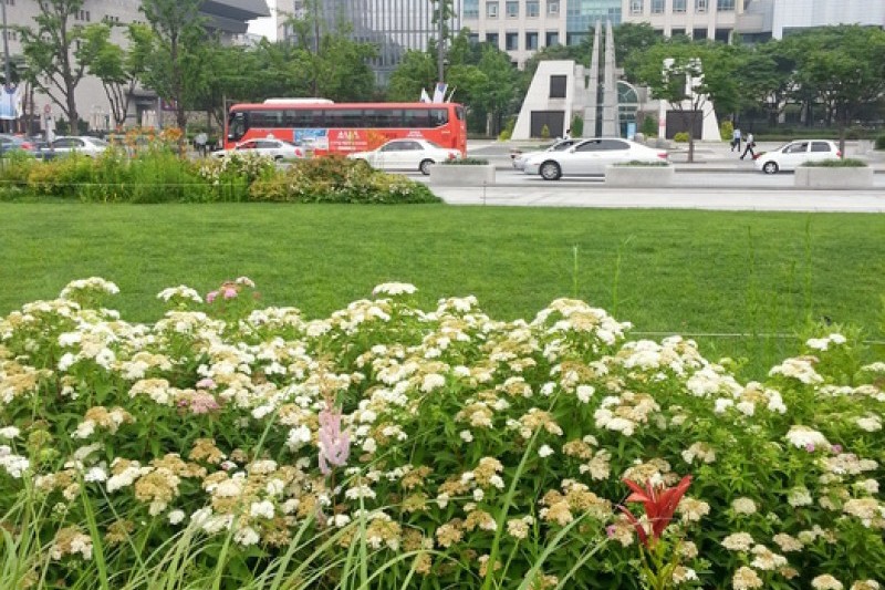 Gwanghwamun Square (13/43)