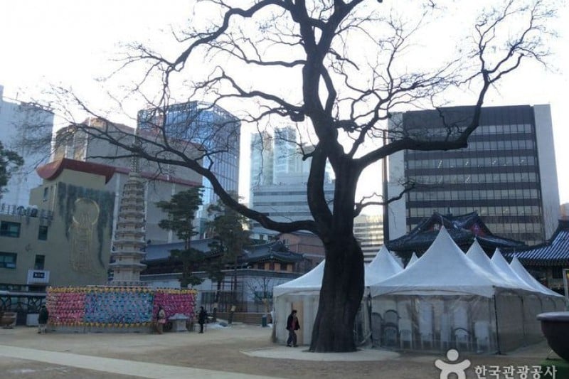 Jogyesa Temple  (5/16)