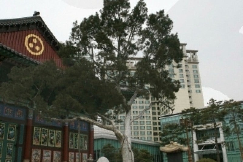 Jogyesa Temple  (13/16)