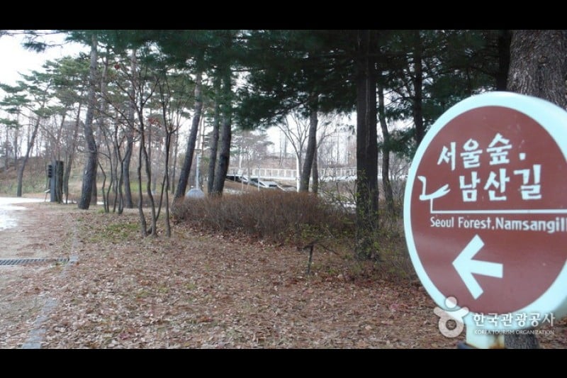 Seoul Forest (9/34)