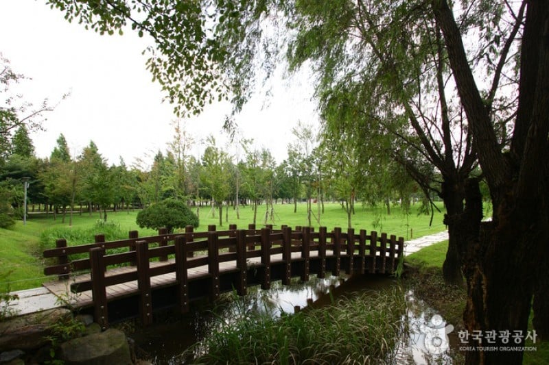 Seoul Forest (11/34)