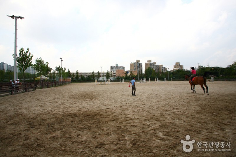 Seoul Forest (13/34)