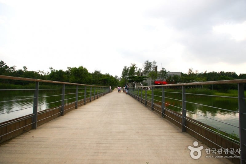 Seoul Forest (14/34)