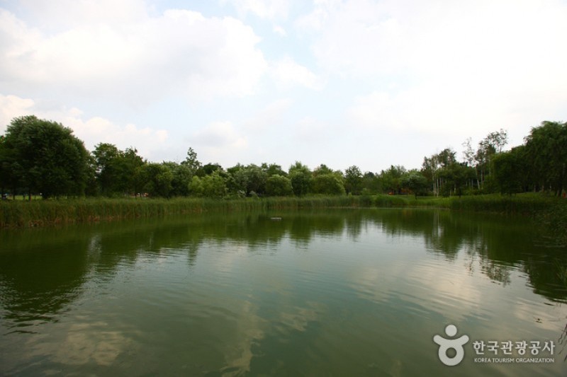 Seoul Forest (15/34)