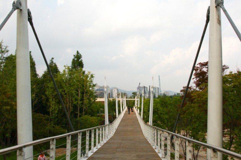 Seoul Forest (16/34)