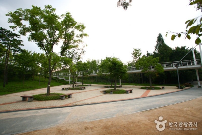 Seoul Forest (17/34)