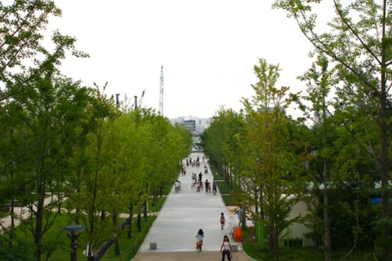 Seoul Forest (20/34)