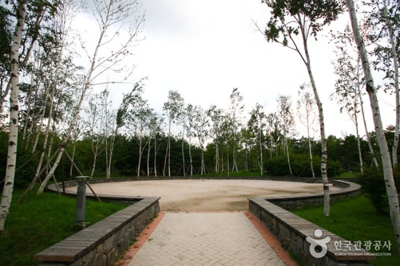 Seoul Forest (21/34)