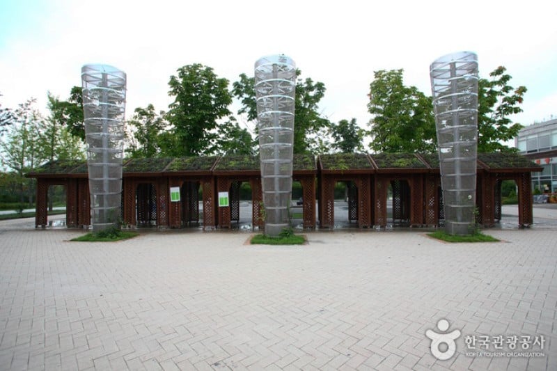 Seoul Forest (22/34)