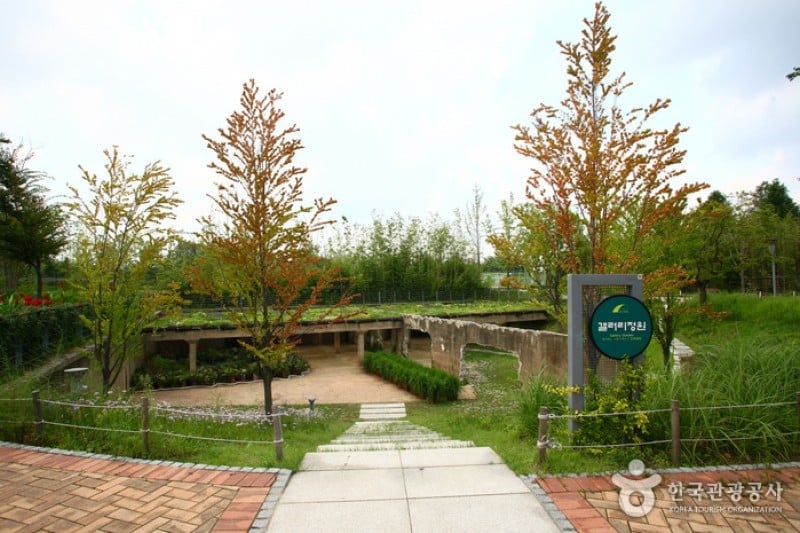 Seoul Forest (23/34)