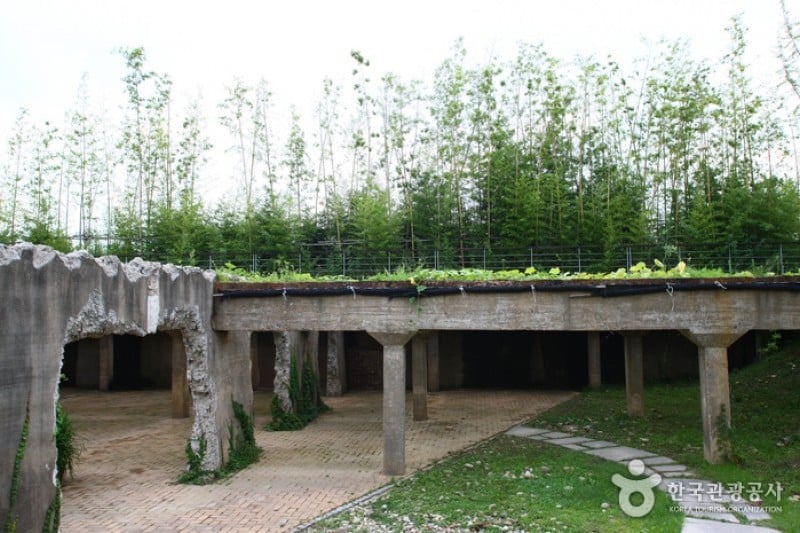 Seoul Forest (24/34)