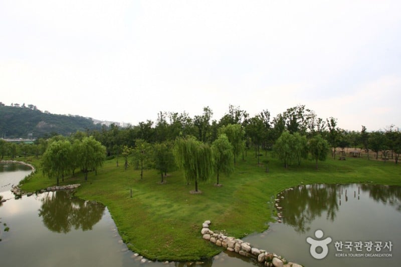 Seoul Forest (27/34)