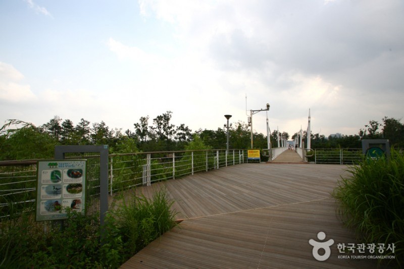 Seoul Forest (28/34)