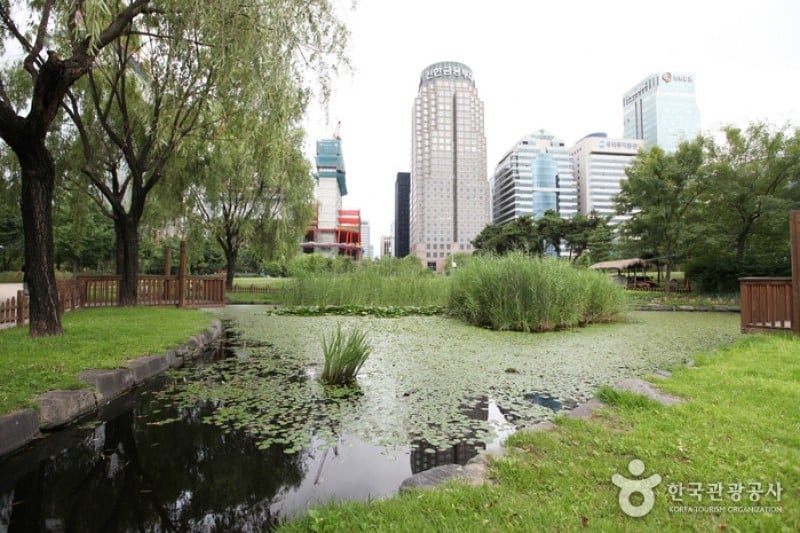 Yeouido Park (4/30)