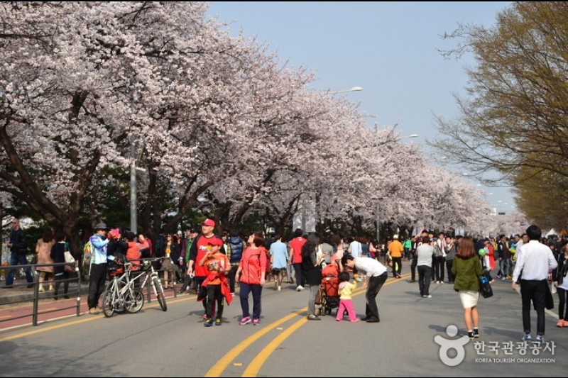 Yeouido Park (7/30)