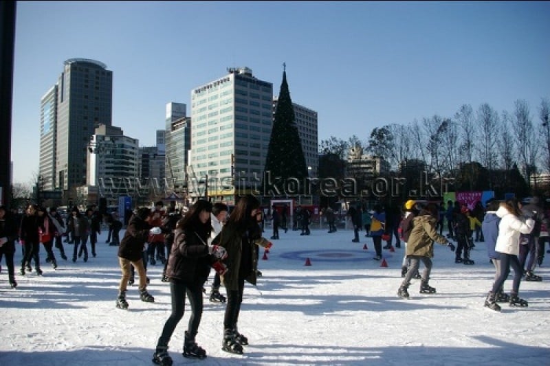 City Hall (Seoul Plaza) (3/15)