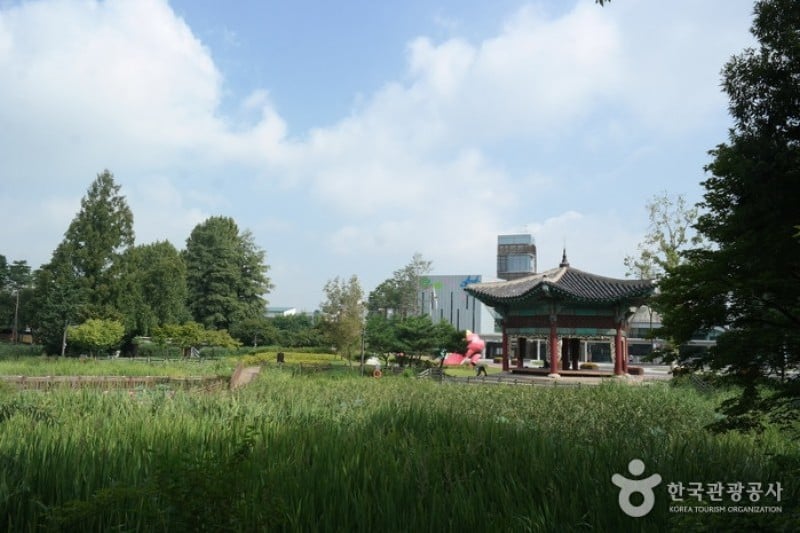 Children’s Grand Park (1/13)