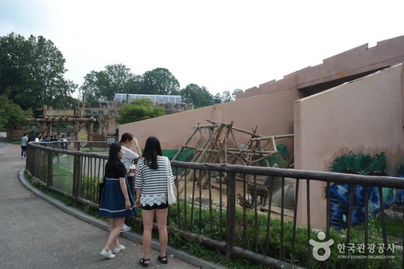 Children’s Grand Park (11/13)