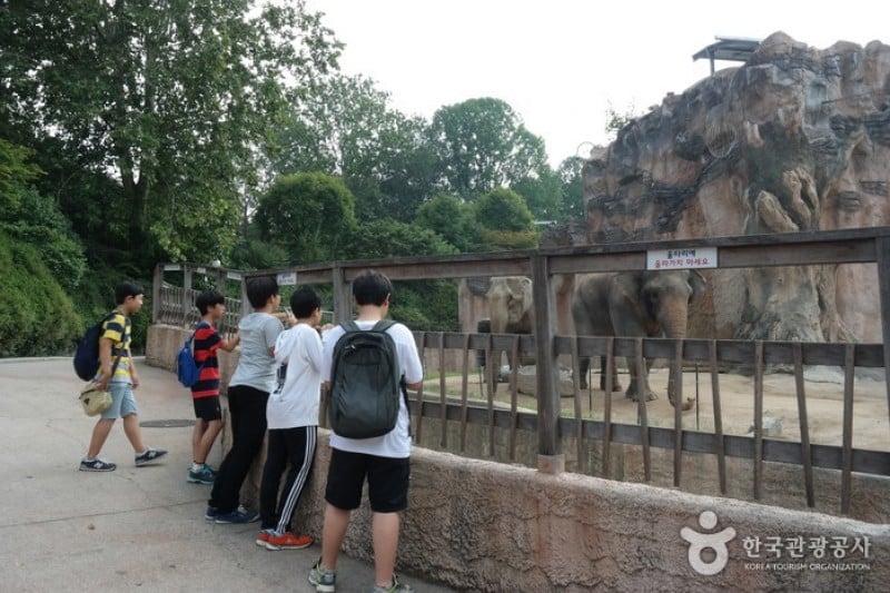 Children’s Grand Park (13/13)