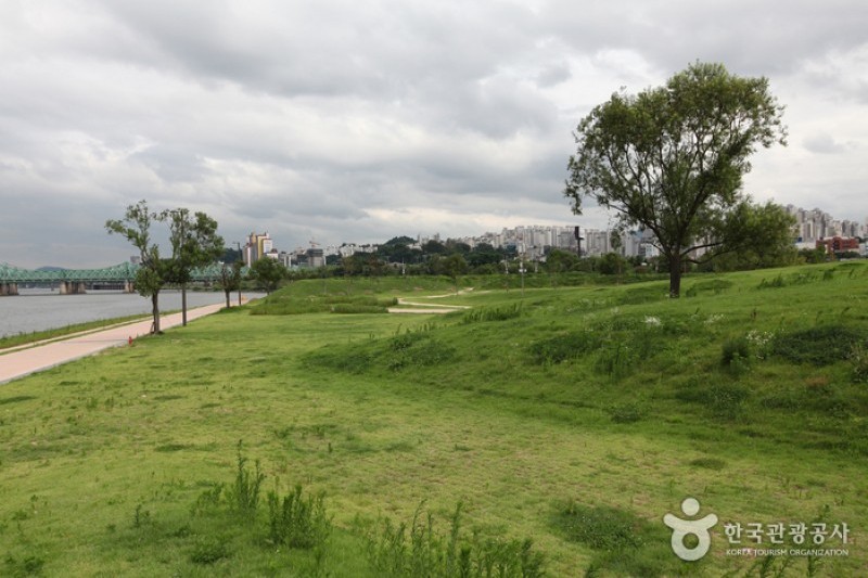 Yeouido Hangang Park (5/12)
