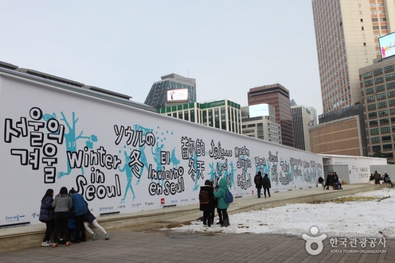 Seoul Plaza Ice Skating Rink (1/15)