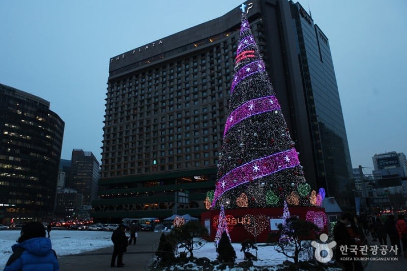 Seoul Plaza Ice Skating Rink (14/15)