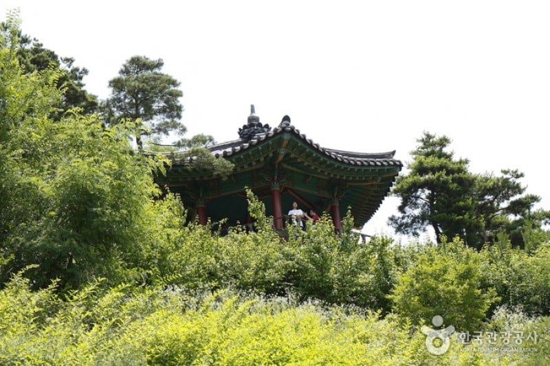 Naksan Park (16/17)