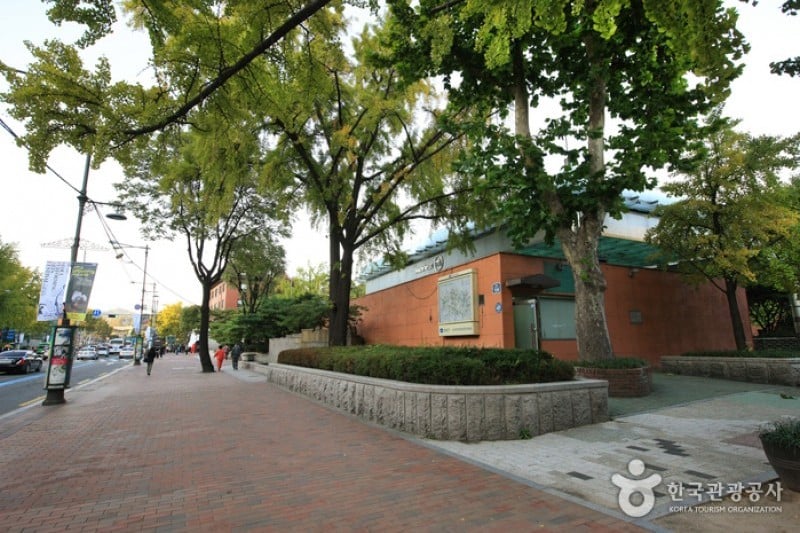 Daehangno Street (University Street) (8/32)