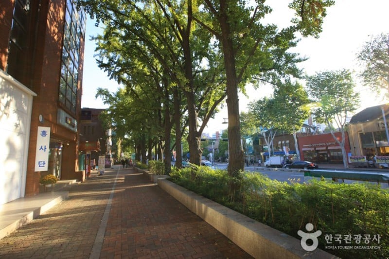 Daehangno Street (University Street) (16/32)