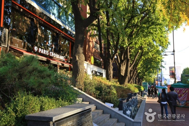 Daehangno Street (University Street) (18/32)