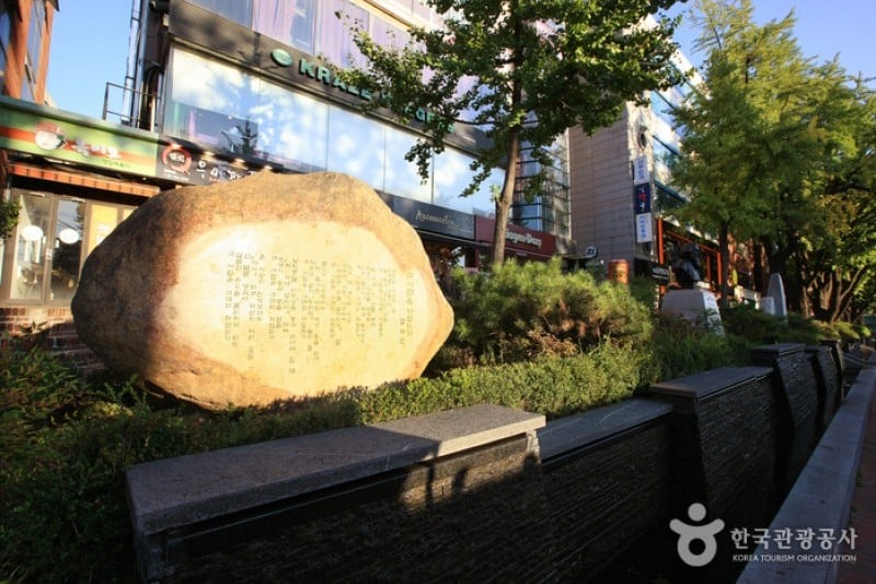 Daehangno Street (University Street) (20/32)