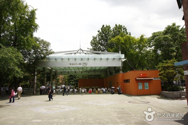 Daehangno Street (University Street) (31/32)