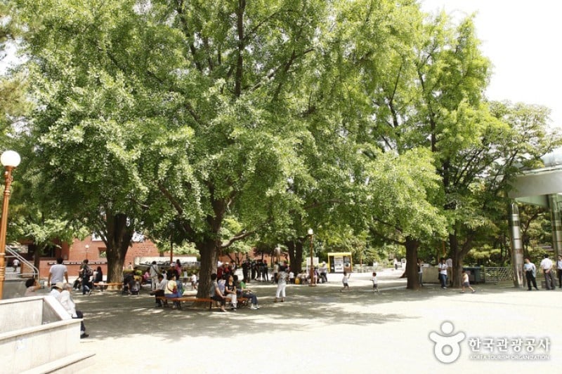 Daehangno Street (University Street) (32/32)