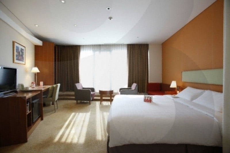Ibis Ambassador Myeongdong (13/14)