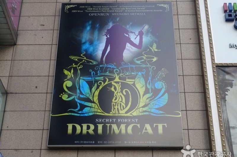 DrumCat Concert (2/10)