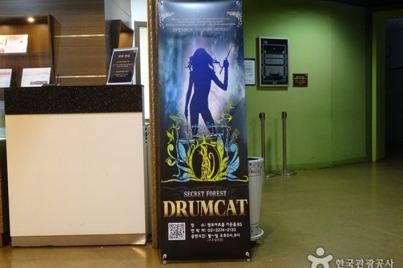 DrumCat Concert (8/10)