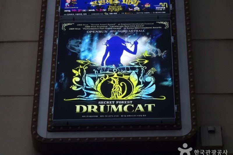 DrumCat Concert (9/10)